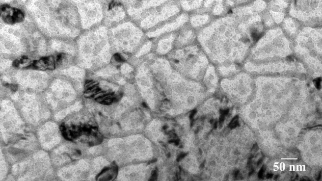 40kX __TiNconst __300kV __0018